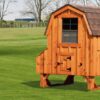 4x4 Dutch with board and batten siding chicken coop